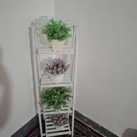 استند گل