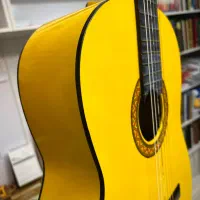 گیتار نو فروش فوری|گیتار، بیس، امپلیفایر|مشهد, کوثر|دیوار