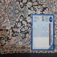 پادری ۱۲۰۰ شانه سالم|پادری|پاکدشت, پاکدشت (مامازند)|دیوار