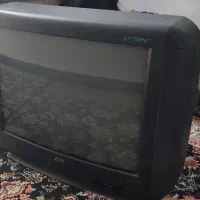 تلویزیون
