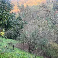 زمین ویلایی دربهارستان پشت باغ حافظ|فروش زمین و ملک کلنگی|آستارا, |دیوار