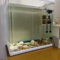 اکواریوم شیشه خم به همراه ماهی و متعلقات