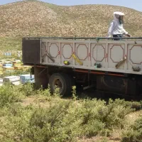 ایسوزو کرایه محدوده شهربابک