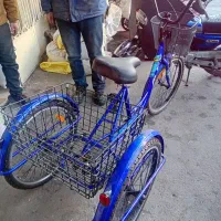 سه چرخه تایوانی آلکس با تجهیز شیمانو