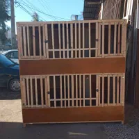 خروس لاری قفس لاری گنجه لاری