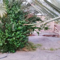 اجاره خانه پنجاه متری مومن آباد|اجارهٔ خانه و ویلا|نرماشیر, |دیوار