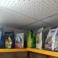 خوراک دام و طیور کیجیدانه|عمدهفروشی|صومعهسرا, |دیوار