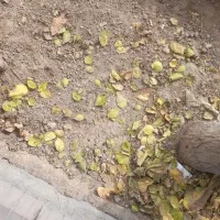 اجاره-کارگاه-100-متری-خ-بسیج-امام-خمینی