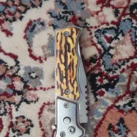 اگهی رو بخونید|پرنده|الشتر, |دیوار