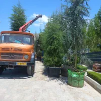 جرثقیل کفی حمل جابجایی|خدمات حمل و نقل|سنندج, |دیوار