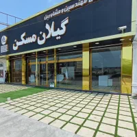 نصب چمن مصنوعی|خدمات باغبانی و درختکاری|رشت, استقامت ۲|دیوار