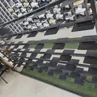 ویترین  کفش با   126 عدد رگال