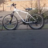 دوچرخه ویوا تایوان اصل