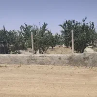فروش باغ