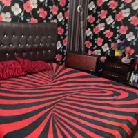 وسایل خانگی نو