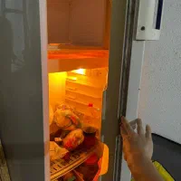 یخچال آزمایش سالم|یخچال و فریزر|محمودآباد, |دیوار