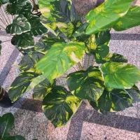 درختچه مصنوعی گل مصنوعی  عمده و تک