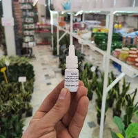 کود ضد شوک و تنش آمینو اسید گل گیاه آپارتمانی پتوس|گل و گیاه طبیعی|قم, نیروگاه|دیوار