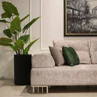 نیروی تولید محتوا خانم