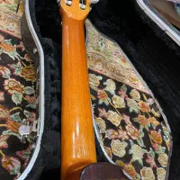 گیتار فلامنکو پیکابدار esteve|گیتار، بیس، امپلیفایر|تهران, آبشار|دیوار