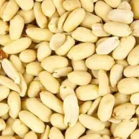 خلال بادام|عمده‌فروشی|آستانه اشرفیه, |دیوار