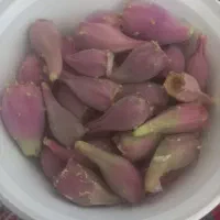 عروسک