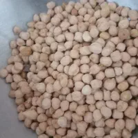 نخود ریز چگنی