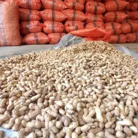 نیروی کار آقابرای کارگاە خشکبار|استخدام صنعتی، فنی، مهندسی|سنندج, |دیوار