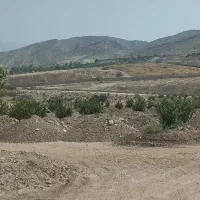 باغچه باغ مقصودآباد جهرم|فروش دفتر صنعتی، کشاورزی، تجاری|جهرم, |دیوار