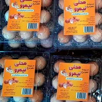 تخم مرغ محلی گلپایگانی اصل|خوردنی و آشامیدنی|خرامه, |دیوار