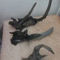 چوب آبنوس اصل غذا ماهی ومقداری وسایل اکواریوم