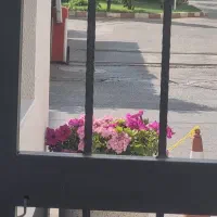 ۸۰ مترمغازه بر درختی/ مناسب مشاغل مختلف