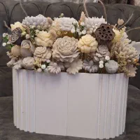 گل شمعی باکس