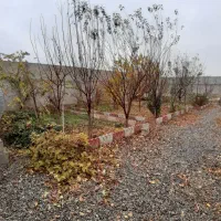 فروش-چهار-دیواری-530-متری-حاجی-آباد