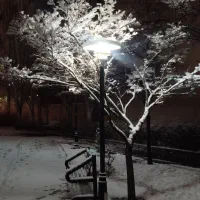 سیم کارت خیلی رند