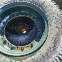 لاستیک لیفتراک|قطعات یدکی و لوازم جانبی|باقرشهر, |دیوار