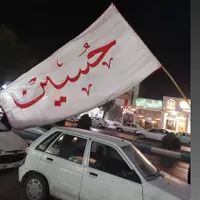 چوب بامبو