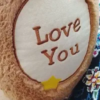 دیجی کالا خرس|کلکسیون و سرگرمی|کرمان, |دیوار