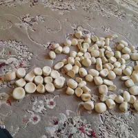 100عددسنگ اسیاب و