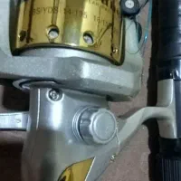 چوب ماهیگیری دام