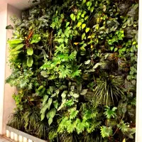 طراحی و اجرای انواع دیوار سبز