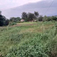فروش فوری زمین 340متری مسکونی درجاده سیاهمزگی شفت|فروش زمین و ملک کلنگی|احمدسرگوراب, |دیوار