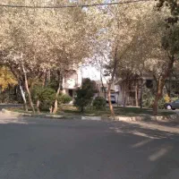 عروس دامادی، نقلی،دارای وام جانبازی 500میلیونی|فروش آپارتمان|قم, زنبیل آباد|دیوار