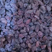 گردو کشمش از۲۰۰تومنی دا رم تا ۴۵۰ت|عمدهفروشی|صائین قلعه, |دیوار