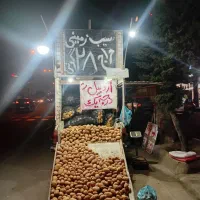 کارگر بساط برای میوه