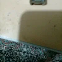 خط رند دائمی با پیش شماره0919