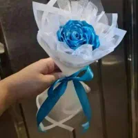 گل رز|گل و گیاه طبیعی|گناباد, |دیوار
