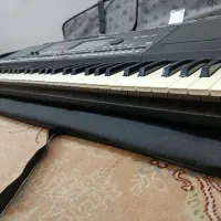 فروش ارگ pa600|پیانو، کیبورد، آکاردئون|بوشهر, |دیوار