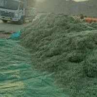 فروش کاه یونجه