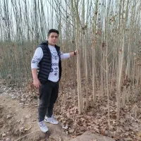 پیش فروش نهال مثمر وغیر مثمر شناسه دار